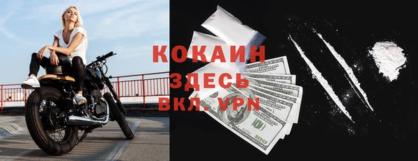 СК Сафоново