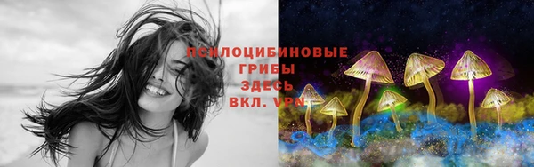 прущая мука Костерёво