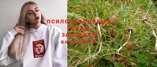 прущая мука Костерёво