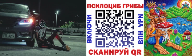 Псилоцибиновые грибы мицелий  Купить закладки  Вышний Волочёк 